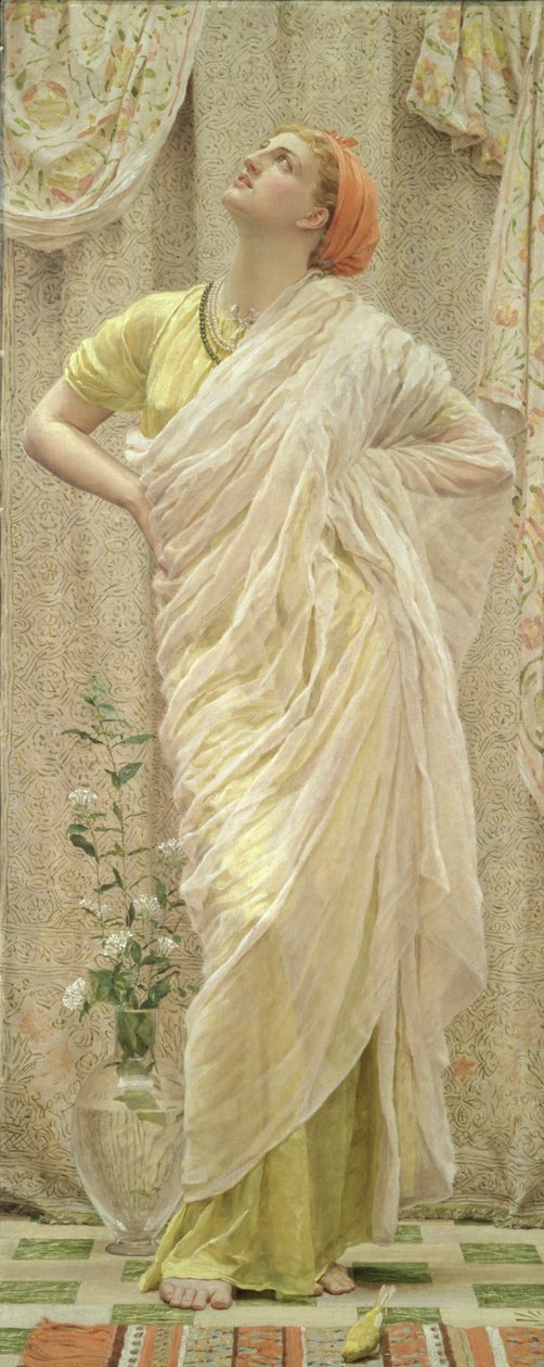 Pássaros de Albert Joseph Moore