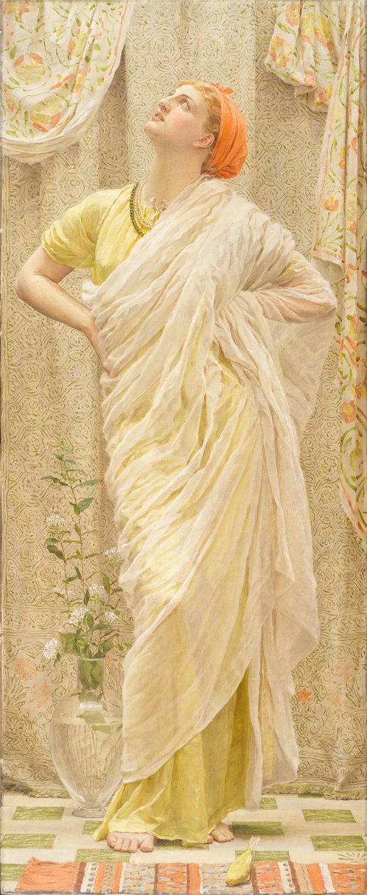 Aves também conhecidas como Canárias. de Albert Joseph Moore