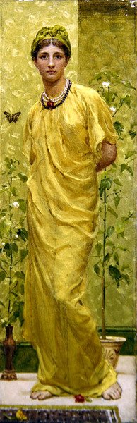 Cravos de Albert Joseph Moore