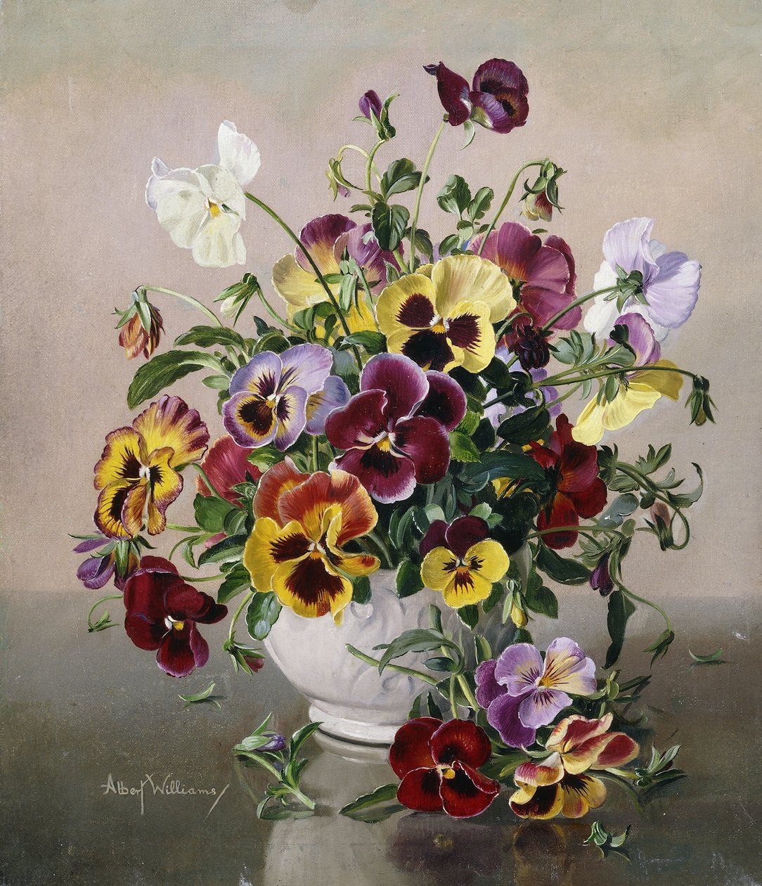 Uma Natureza Morta com Pansies de Albert Williams