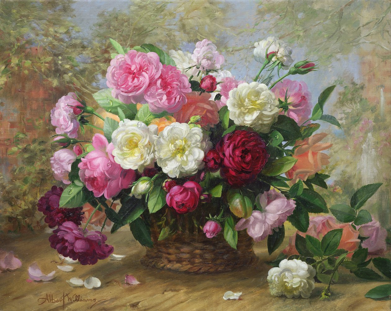 Beleza Celestial numa Rosa de Verão de Albert Williams