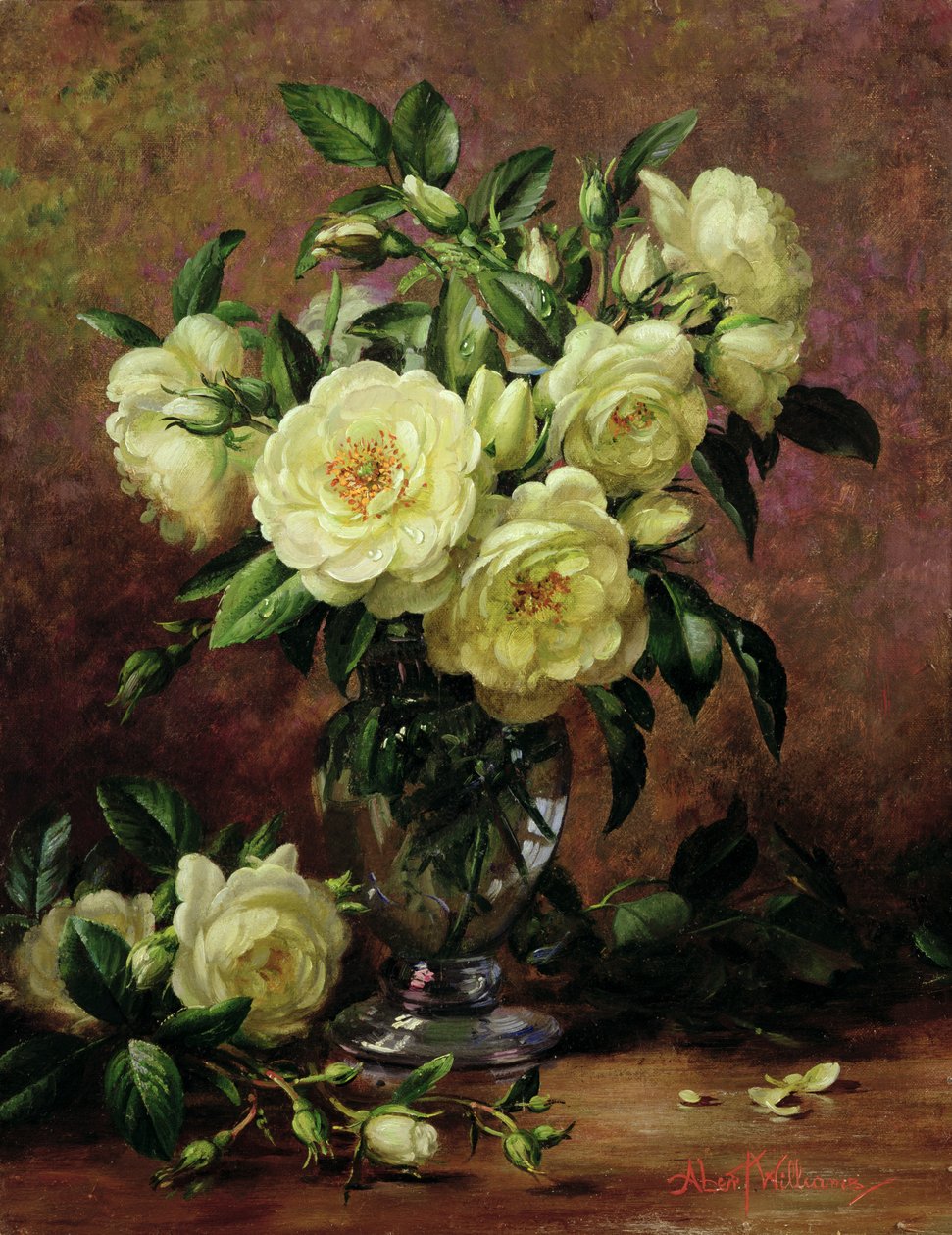 Rosas Brancas, Um Presente Do Coração de Albert Williams