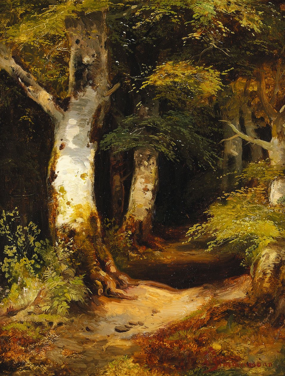 Estrada florestal de Albert Zimmermann