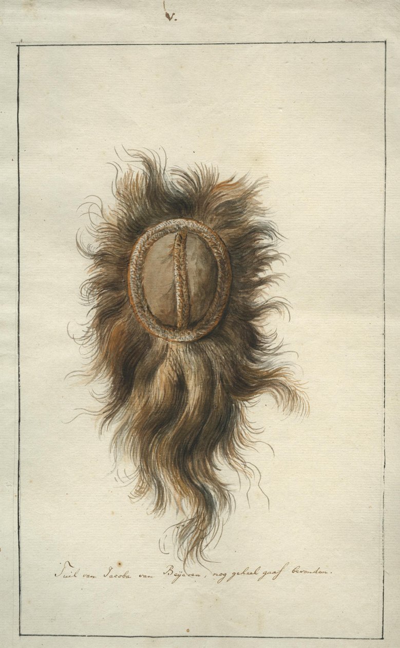 O toucado de Jacoba van Beijeren de Albertus Frese de Jonge