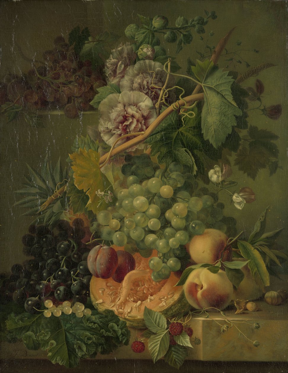 Natureza Morta com Flores e Frutos de Albertus Jonas Brandt