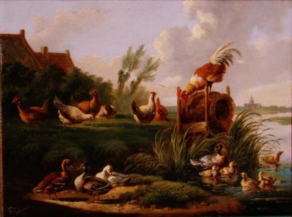 Patos e aves na margem de um rio de Albertus Verhoesen