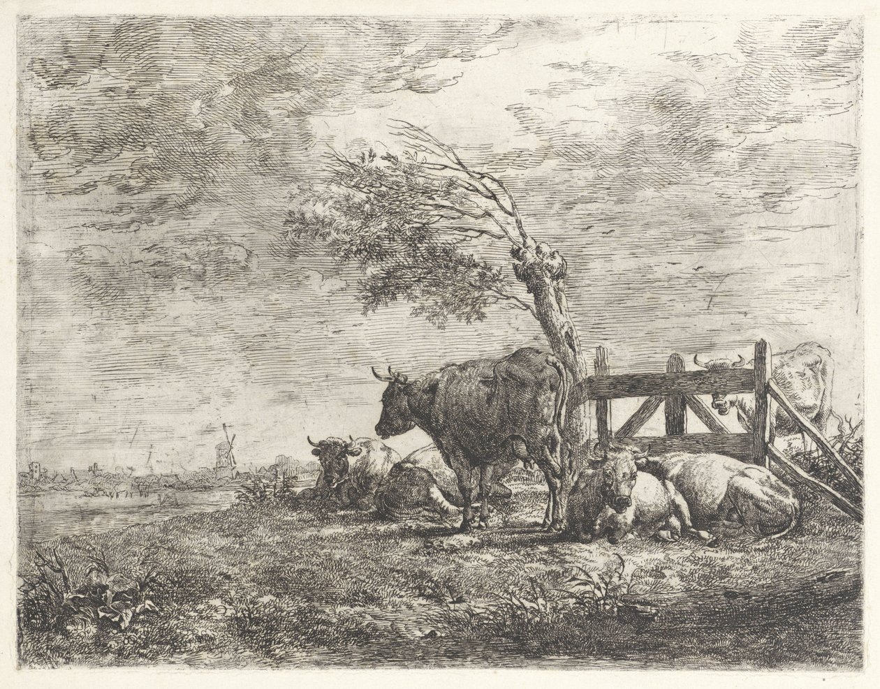 Vacas por uma cerca e um salgueiro do pollard de Albertus Verhoesen