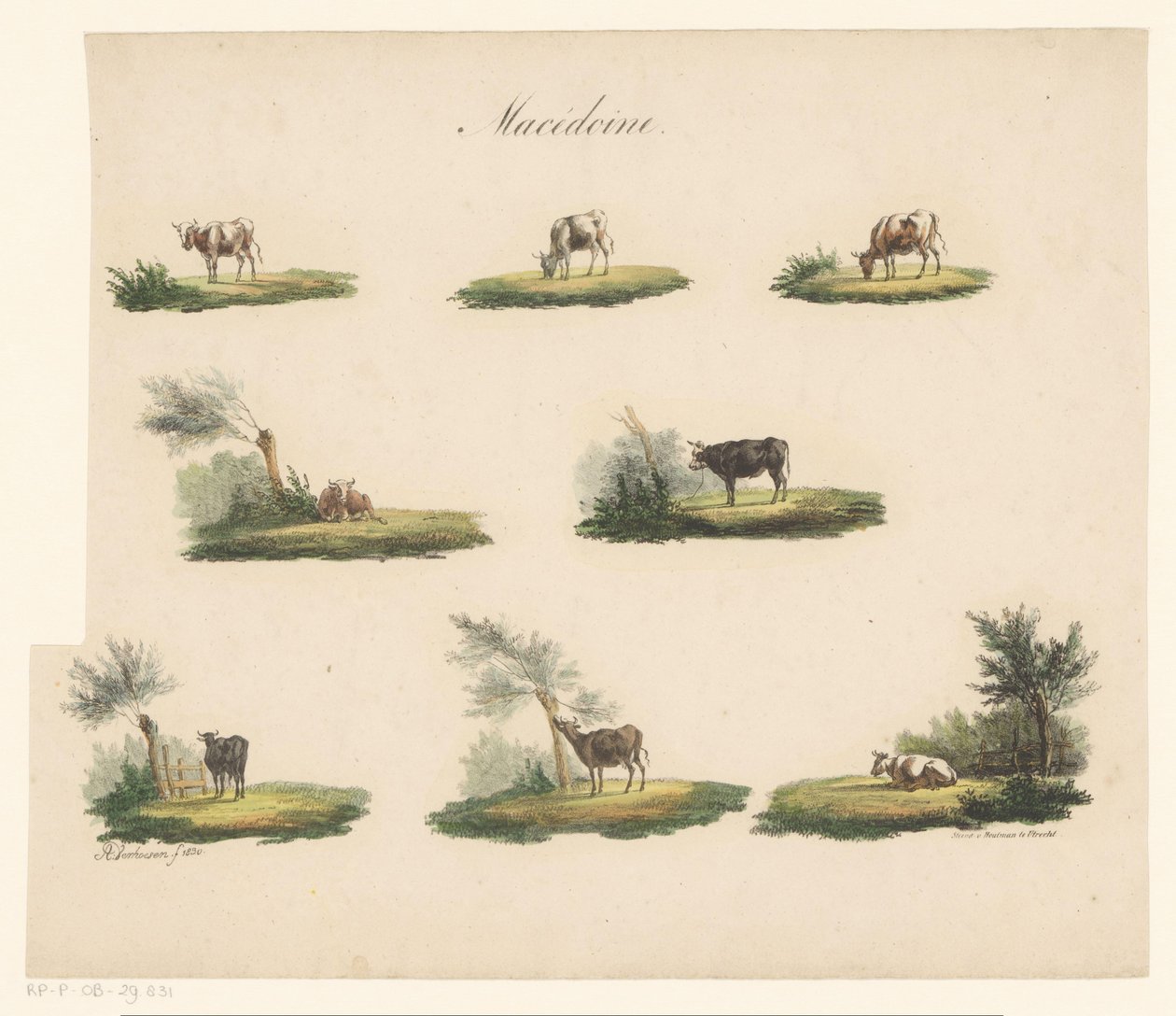 Vacas na paisagem Macedoine (título no objeto) de Albertus Verhoesen