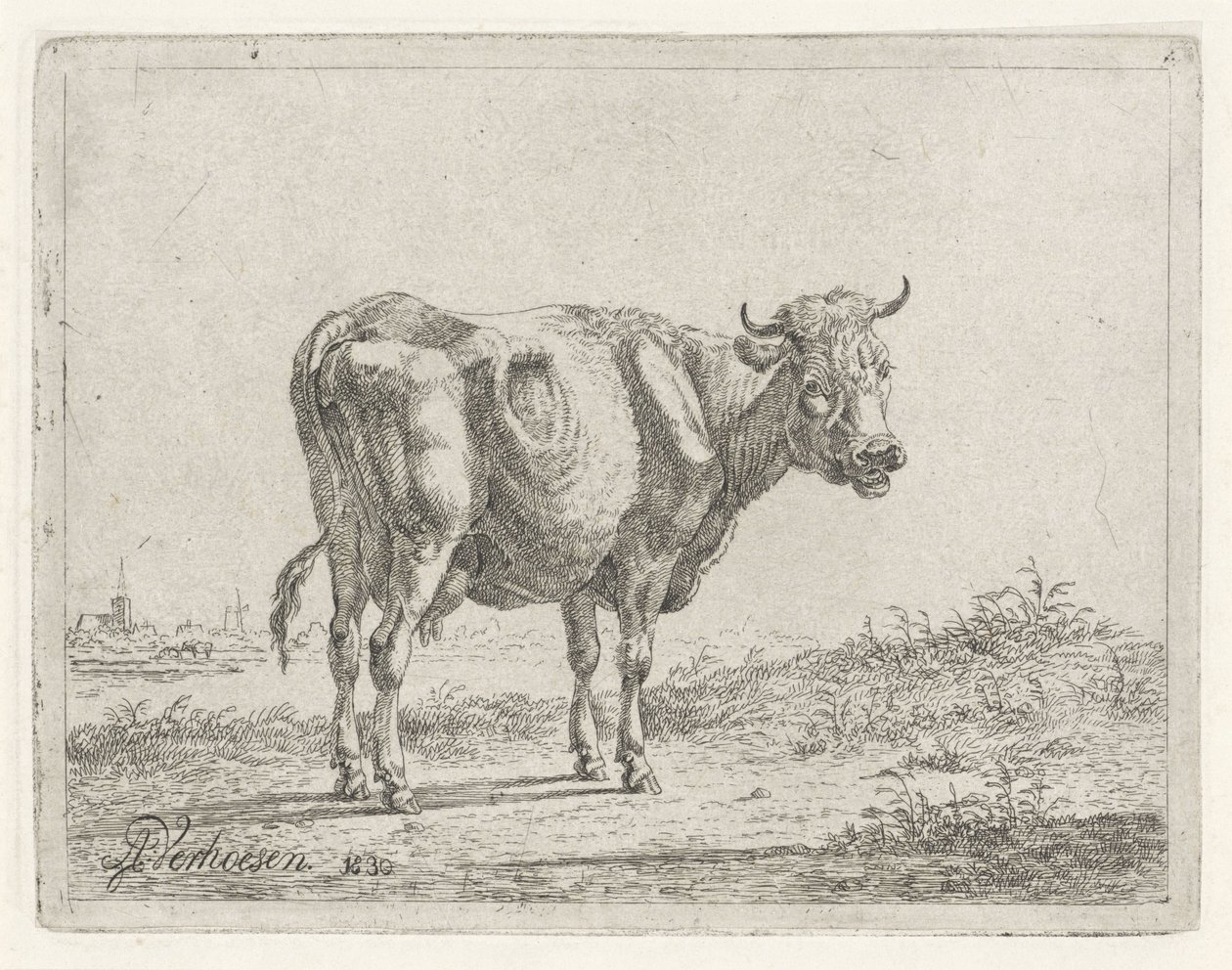 vaca em pé de Albertus Verhoesen