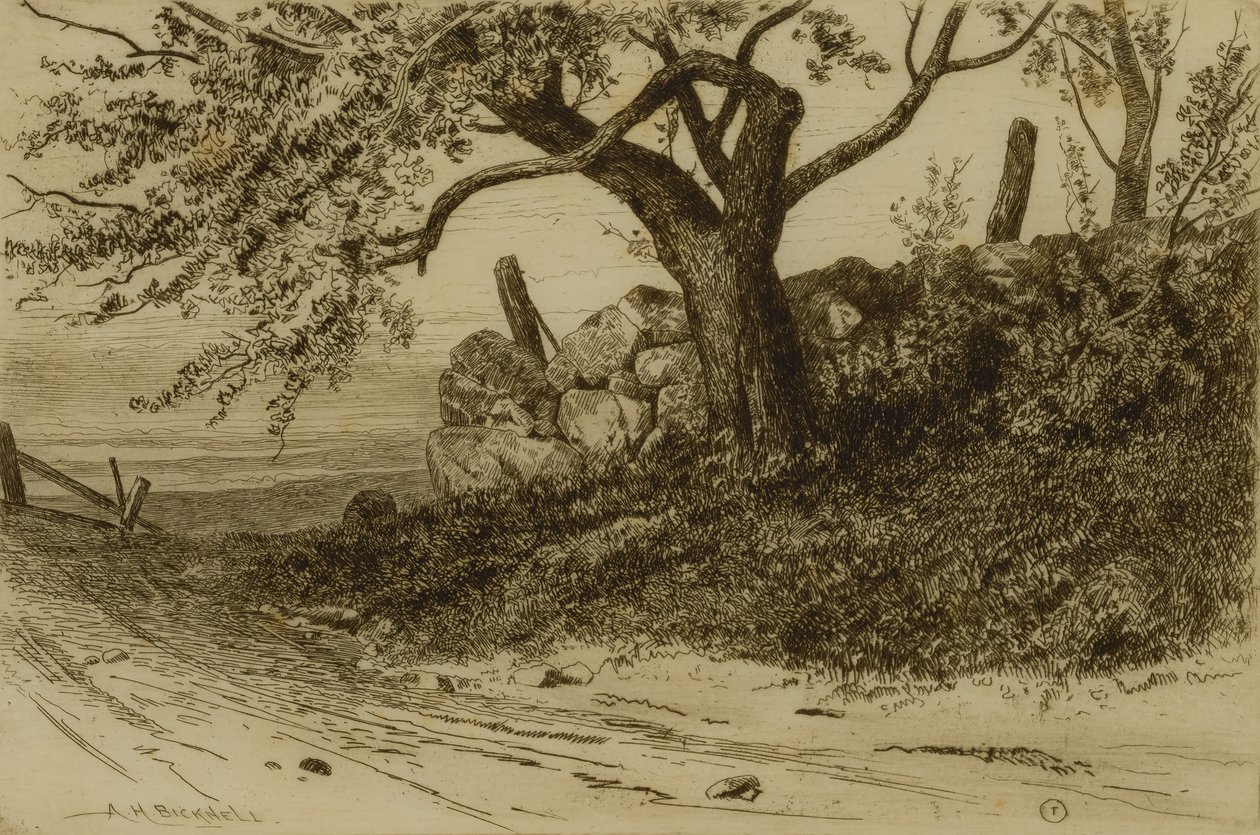 Estrada rural de Albion Harris Bicknell