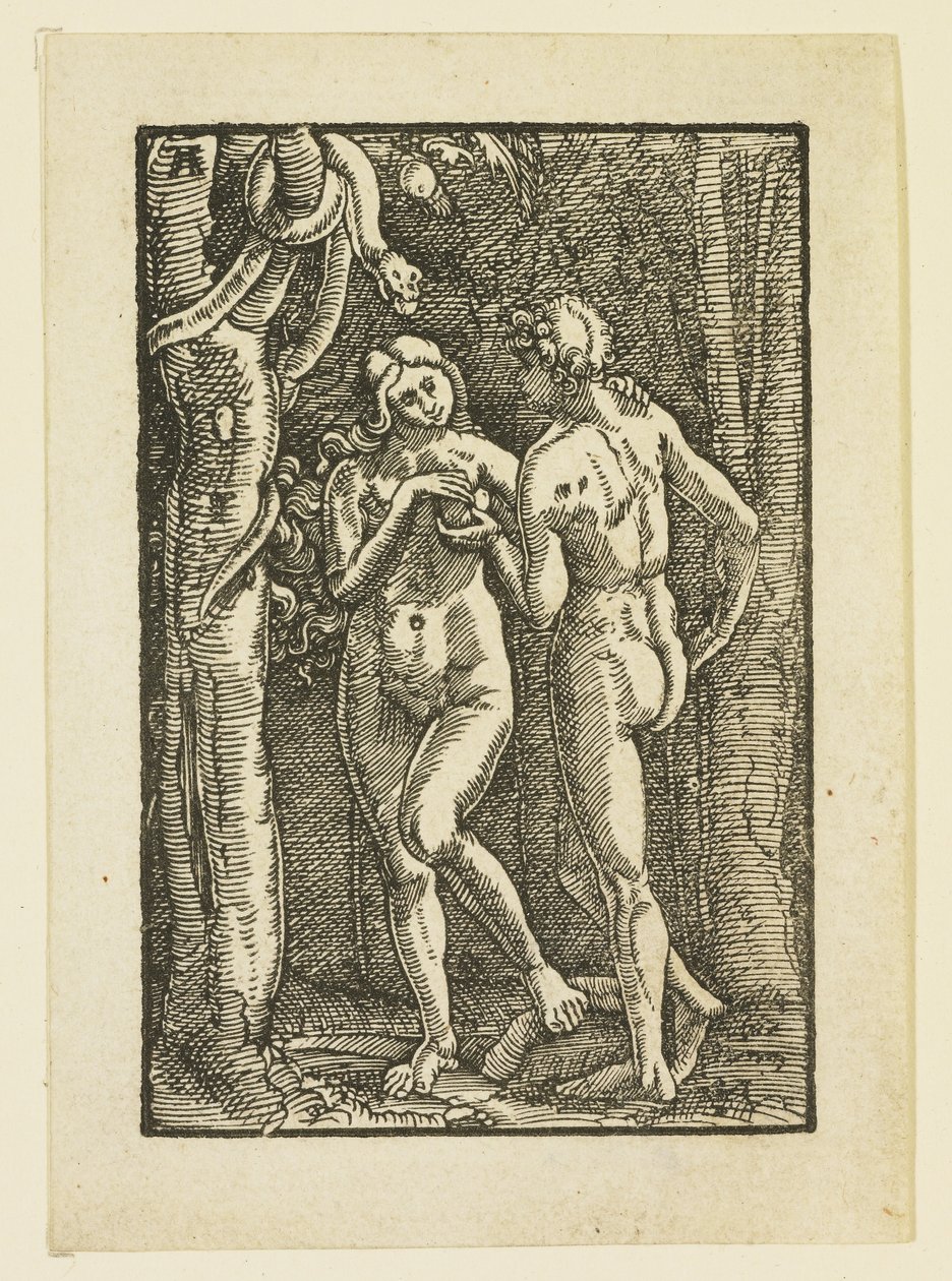 Adão e Eva Comendo o Fruto Proibido, c.1513 de Albrecht Altdorfer