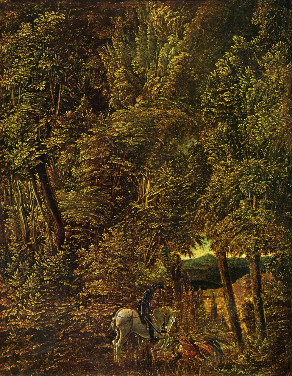 Campo de madeira com São Jorge lutando contra o dragão de Albrecht Altdorfer