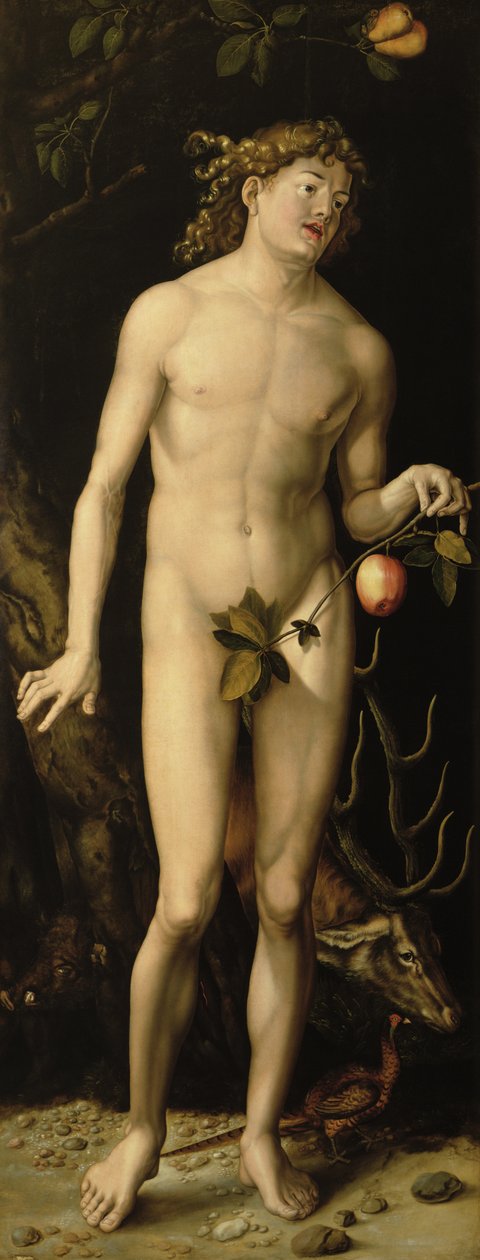Adão de Albrecht Dürer