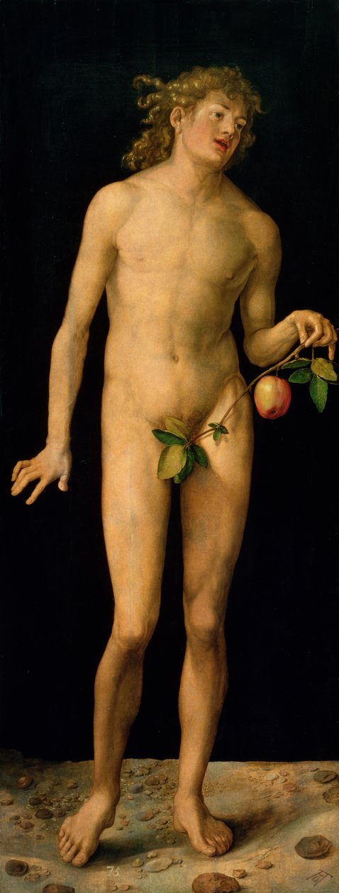Adão, 1507 de Albrecht Dürer