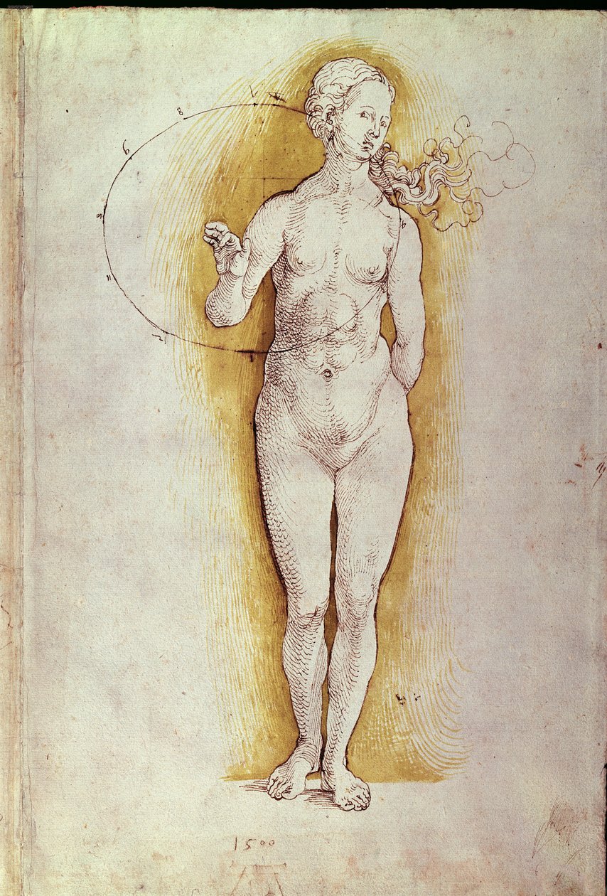 Nu feminino (caneta e tinta no papel) de Albrecht Dürer