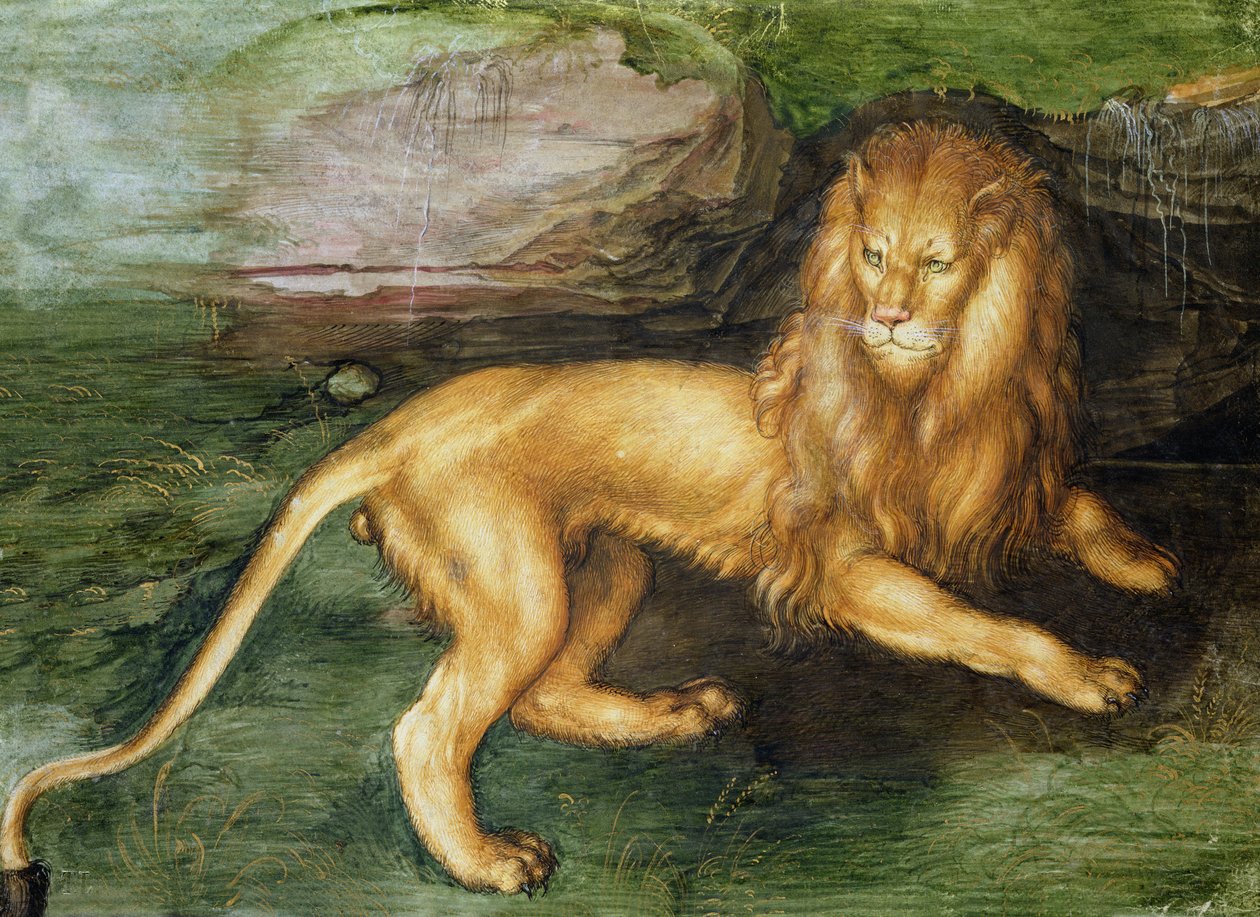 Leão de Albrecht Dürer
