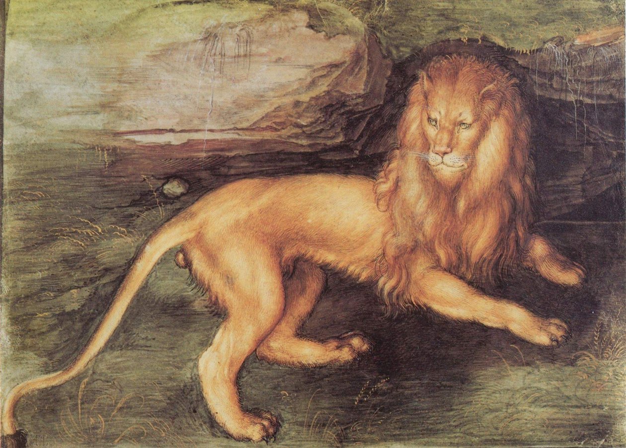 Leão de Albrecht Dürer