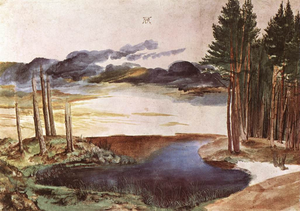 Lagoa na floresta de Albrecht Dürer