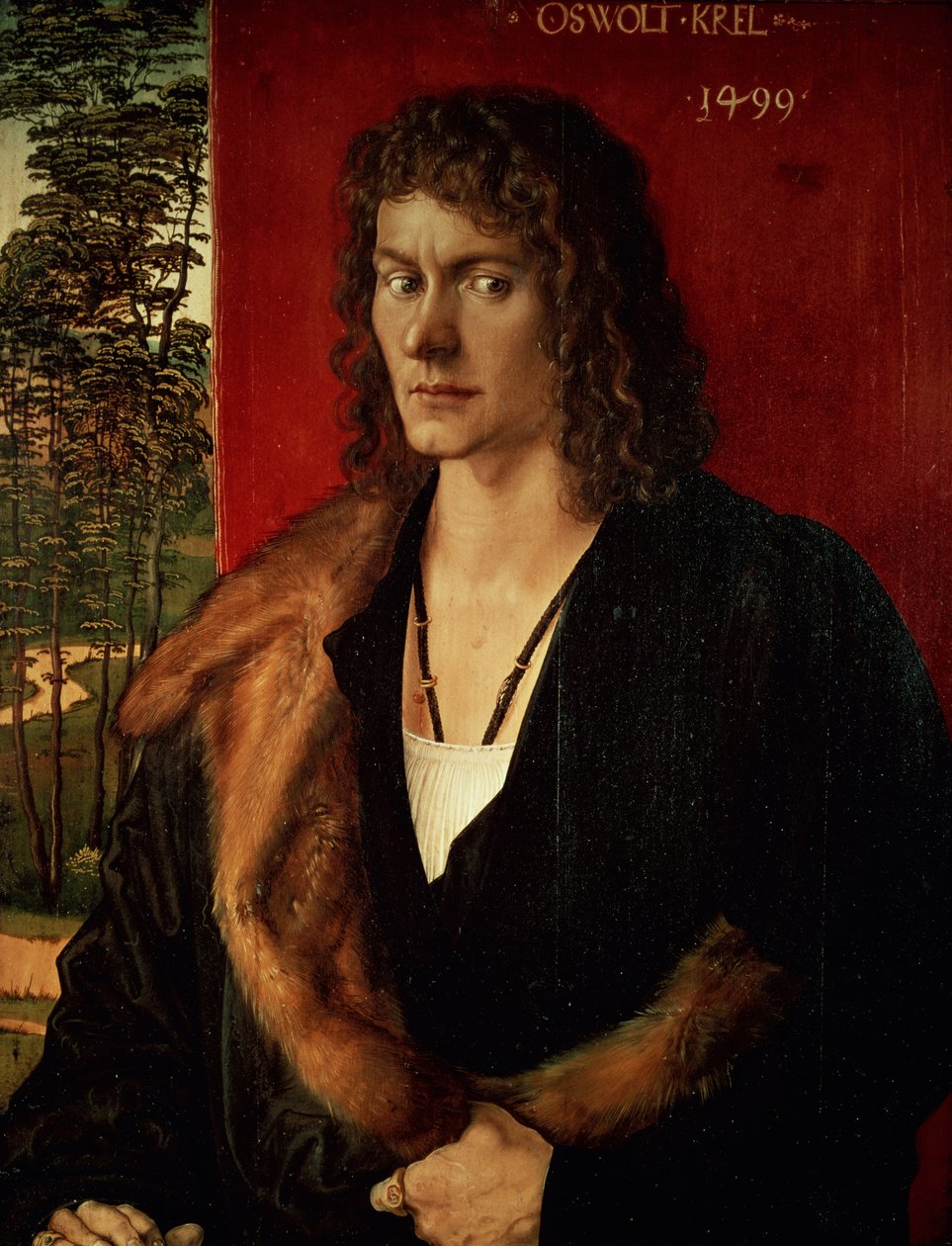 Retrato de Krel Oswolt, 1499 de Albrecht Dürer