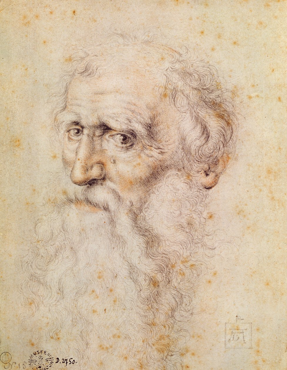 Retrato, de, um, barbudo, homem velho, (red, giz, e, pierre, noire) de Albrecht Dürer
