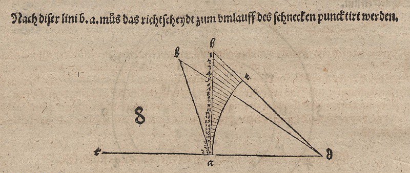 Espiral tangente e parentes de Albrecht Dürer