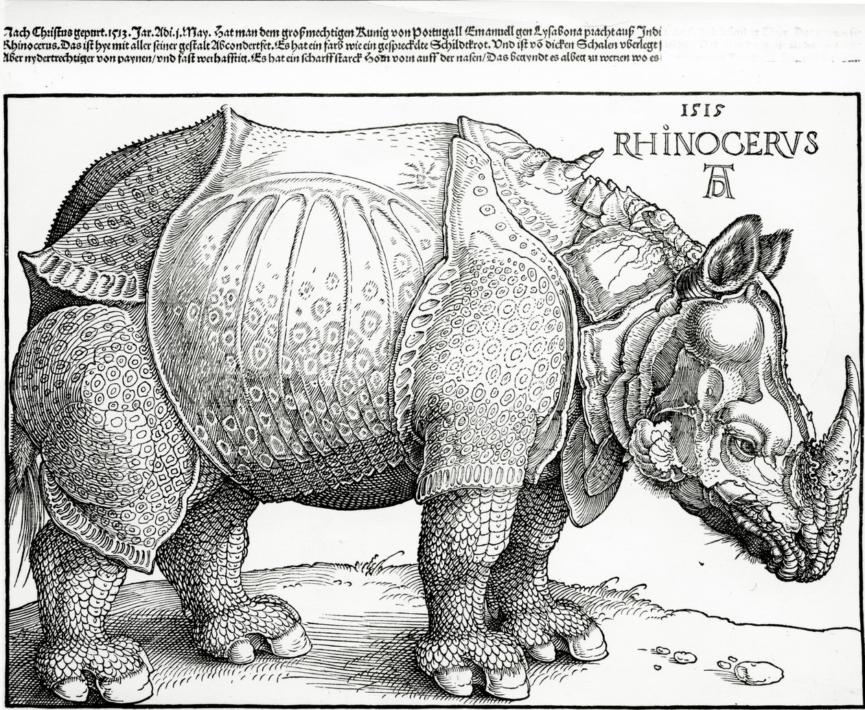 O rinoceronte, 1515 de Albrecht Dürer