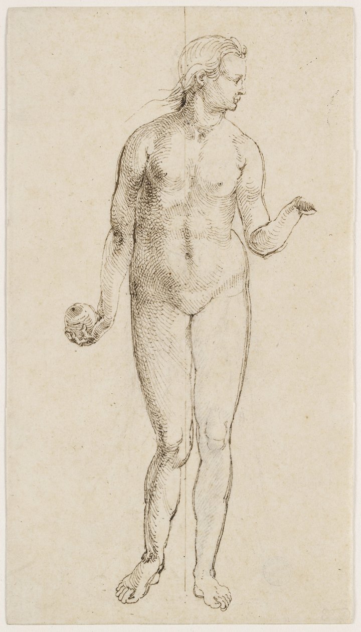 Eva (caneta e tinta indiana no papel) de Albrecht Dürer
