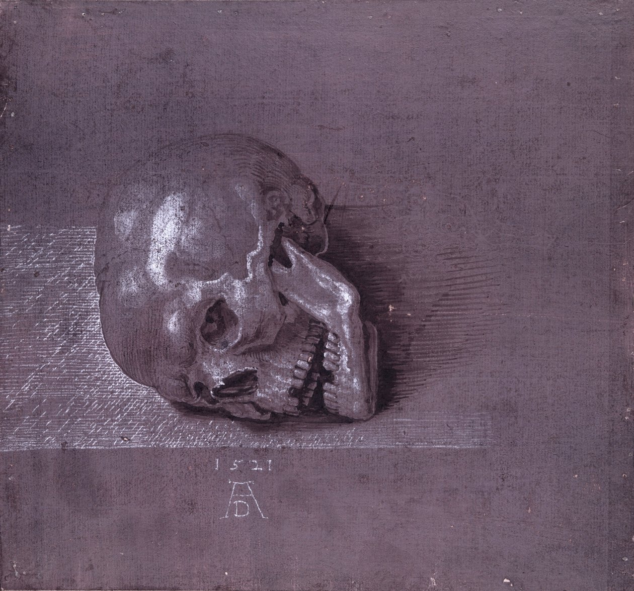 Estudo de um crânio humano, 1521 (caneta e tinta no papel) de Albrecht Dürer