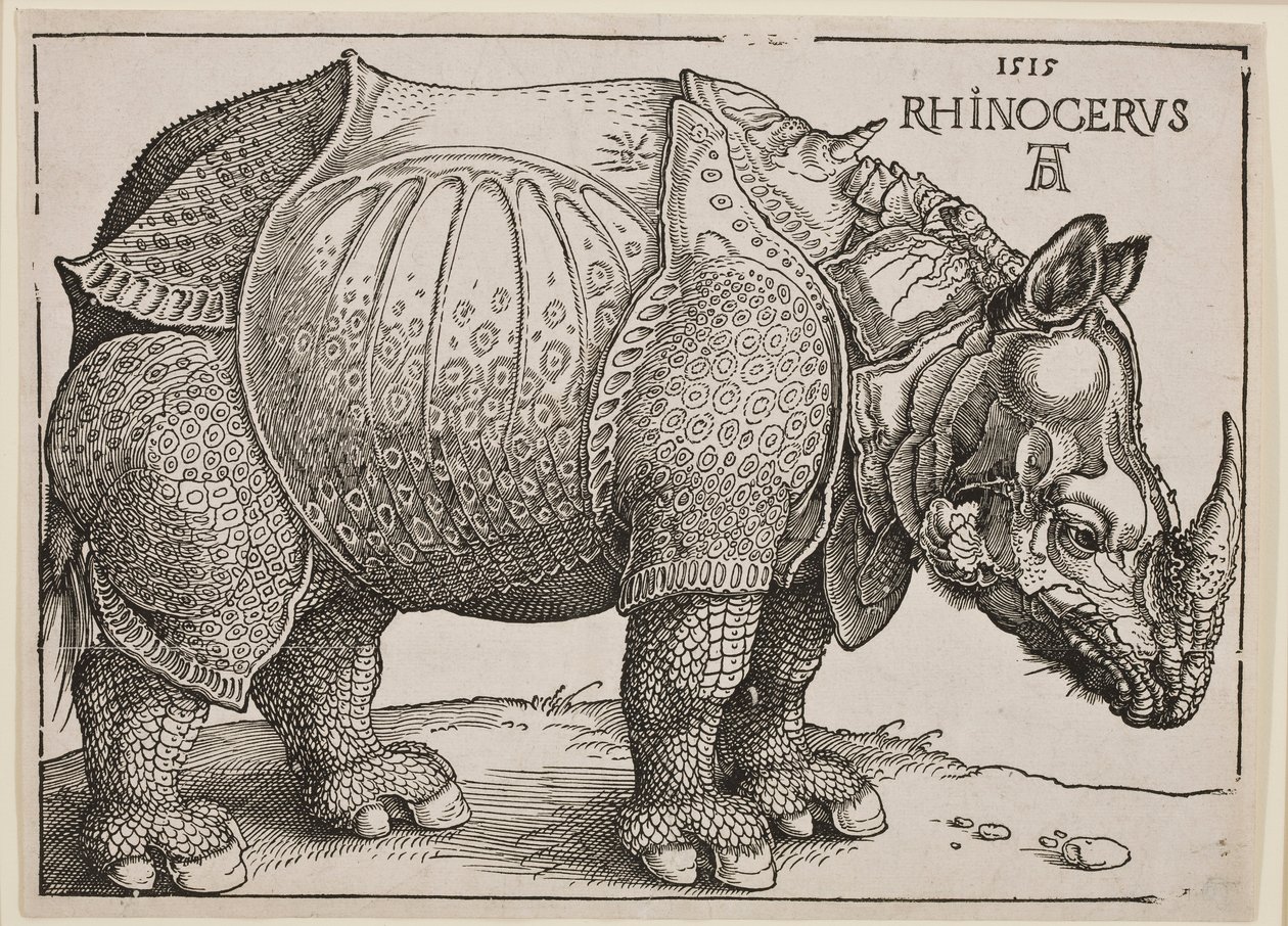 O rinoceronte, 1515 de Albrecht Dürer