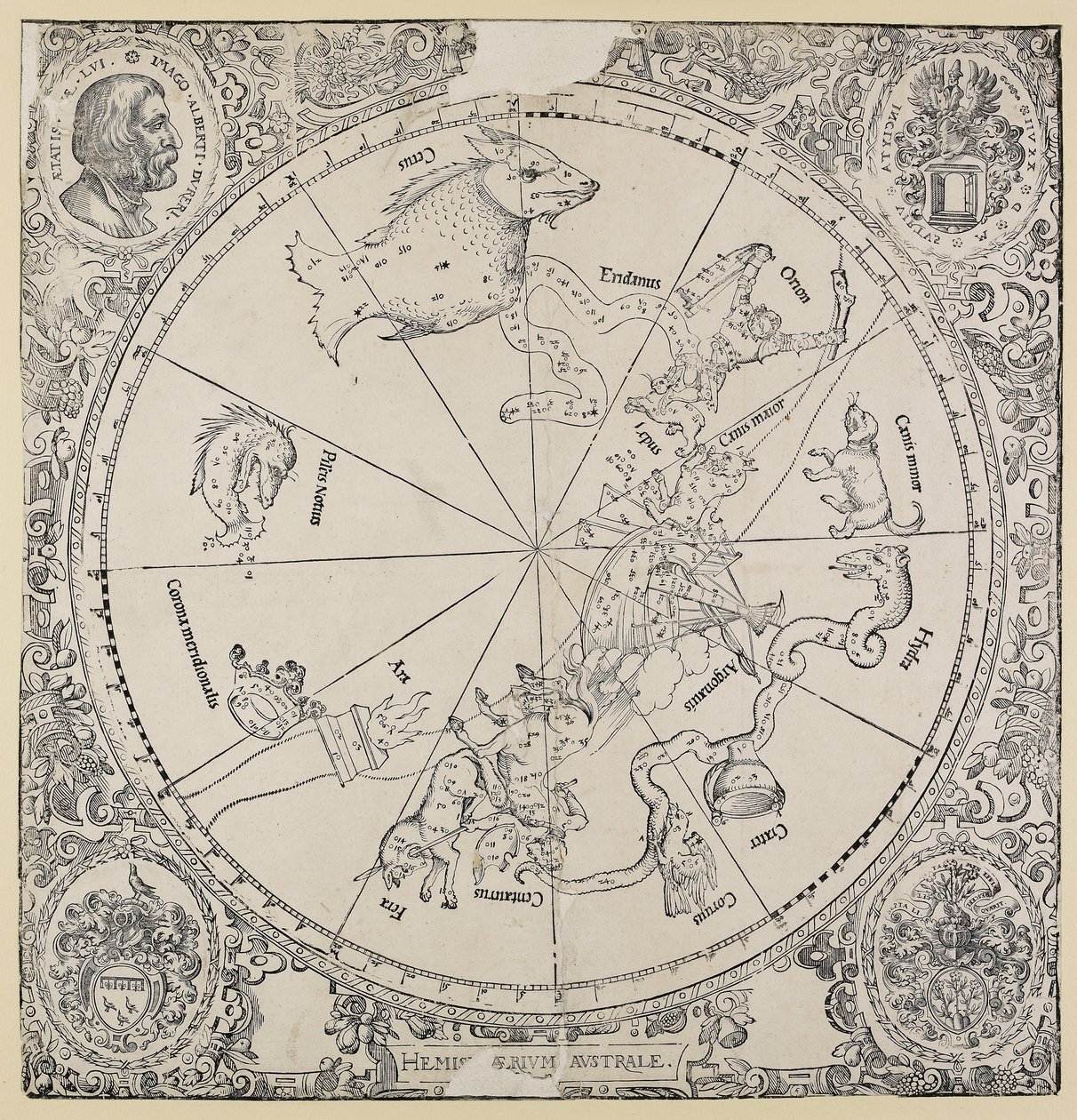 O mapa celeste do hemisfério sul de Albrecht Dürer