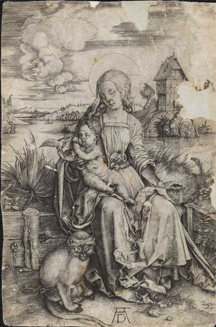 Virgem e criança com um macaco de Albrecht Dürer