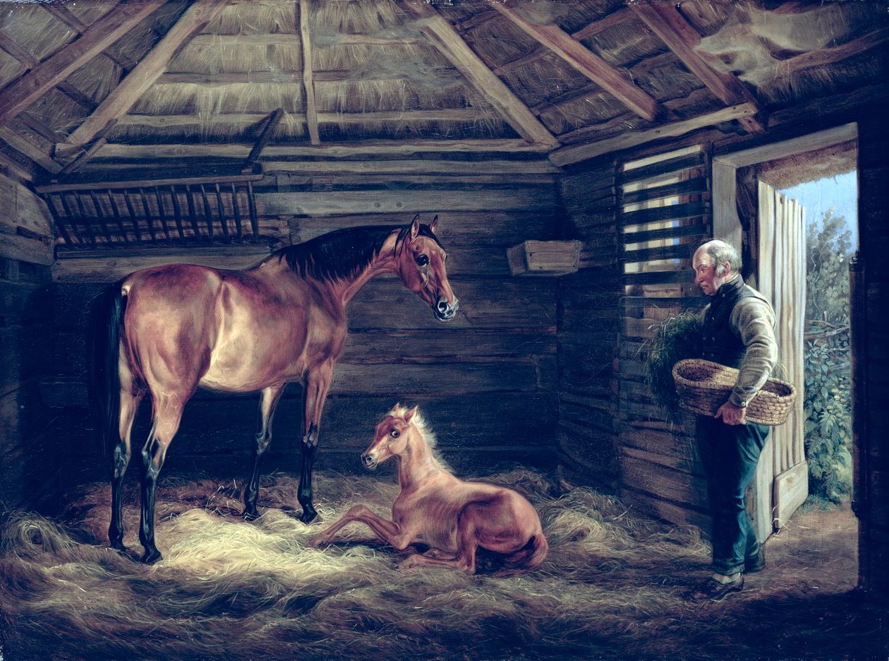 Égua Inglesa Com Seus Potros, 1833 de Albrecht Adam