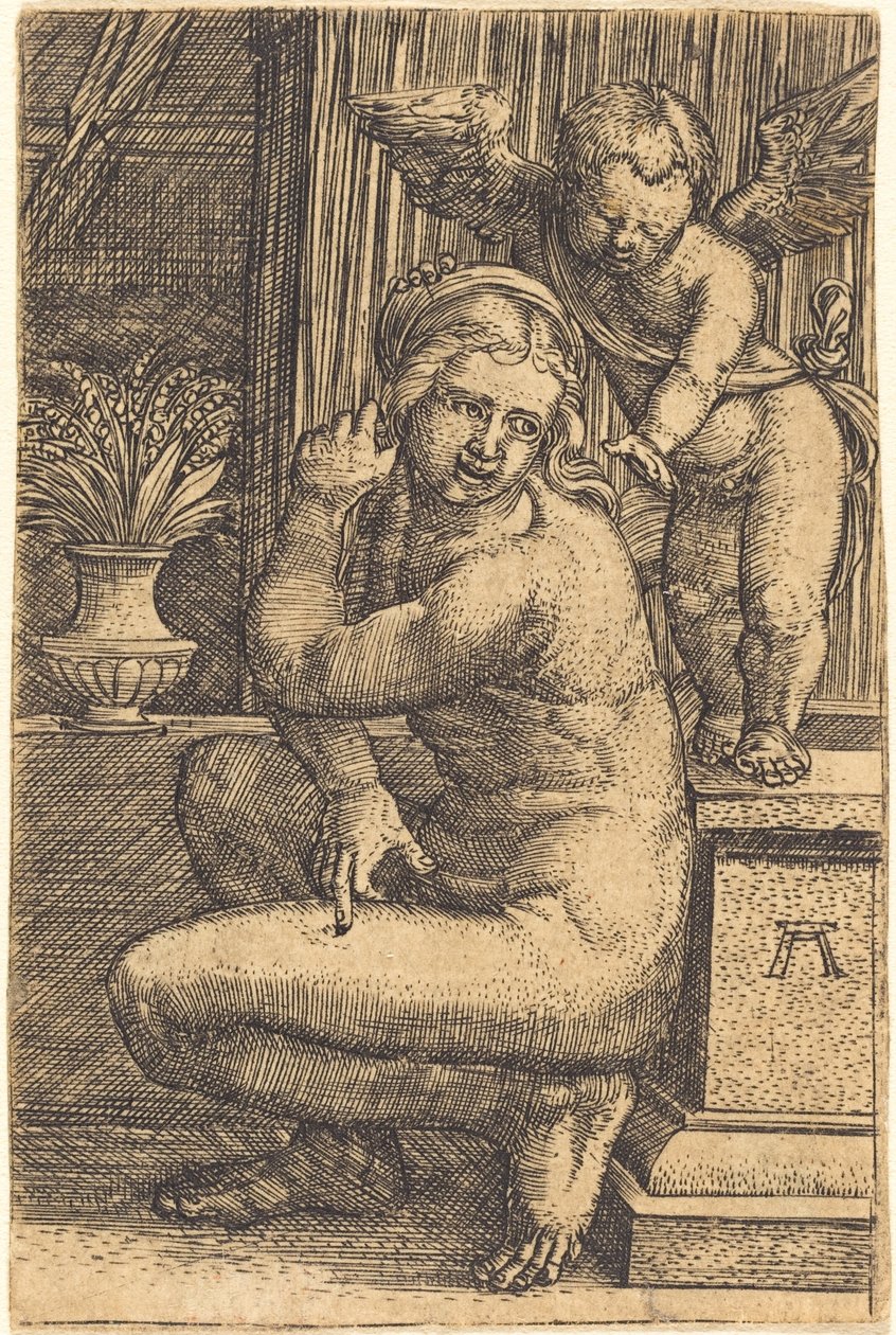 Vênus agachado de Albrecht Altdorfer