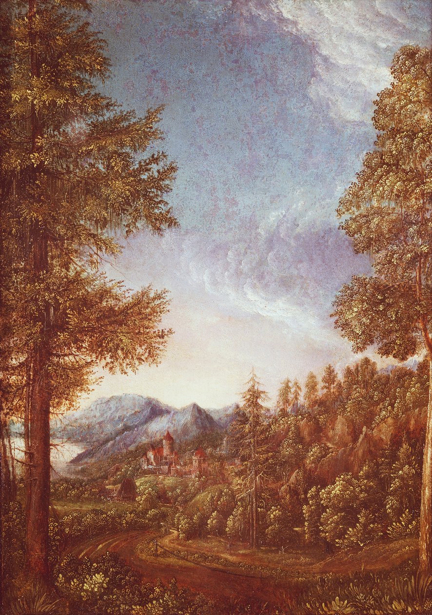 Paisagem do Danúbio com Castelo Worth, c.1522-25 (pergaminho sobre faia) de Albrecht Altdorfer