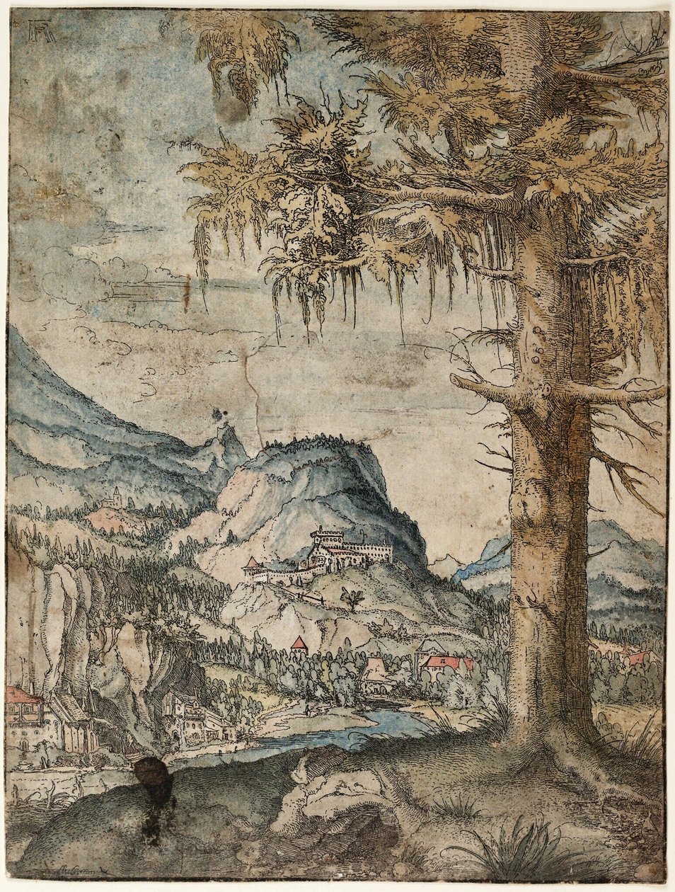 Alemão: The Large Spruce Large Spruce de Albrecht Altdorfer