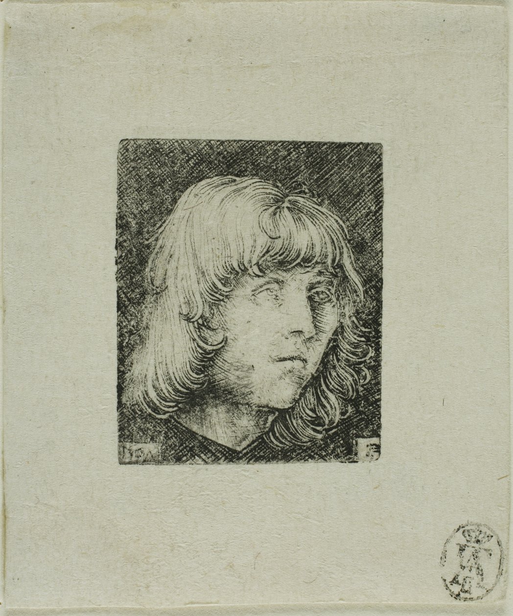 Cabeça de um jovem de Albrecht Altdorfer