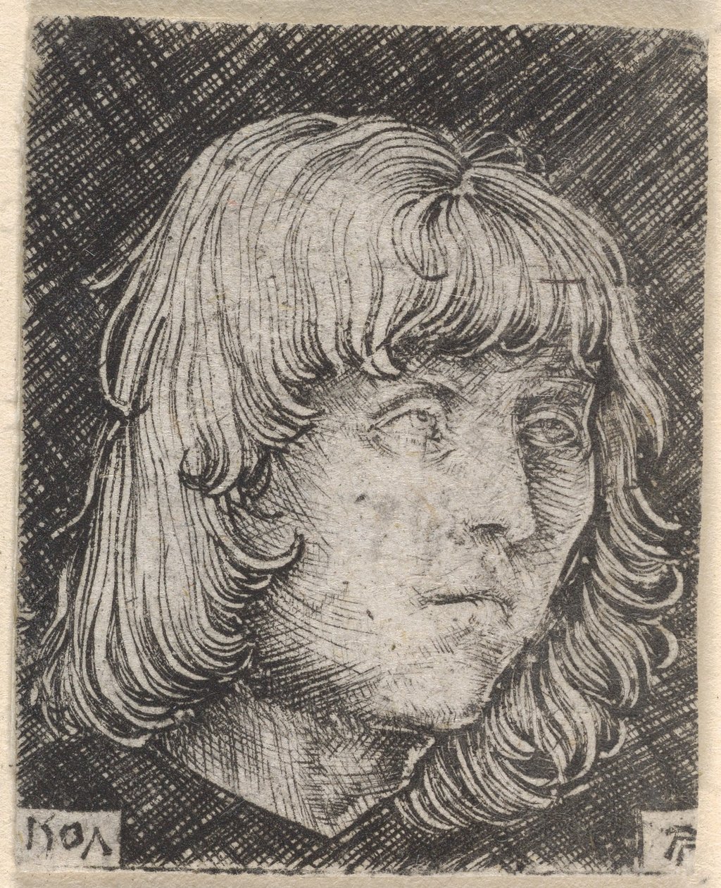 Cabeça de um jovem de Albrecht Altdorfer