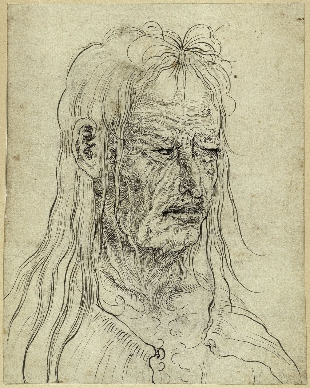 Cabeça de uma velha feia, virada para a direita de Albrecht Altdorfer