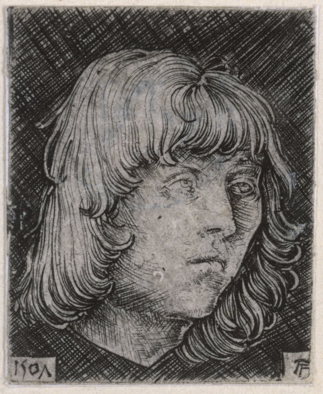 Cabeça de um jovem de Albrecht Altdorfer