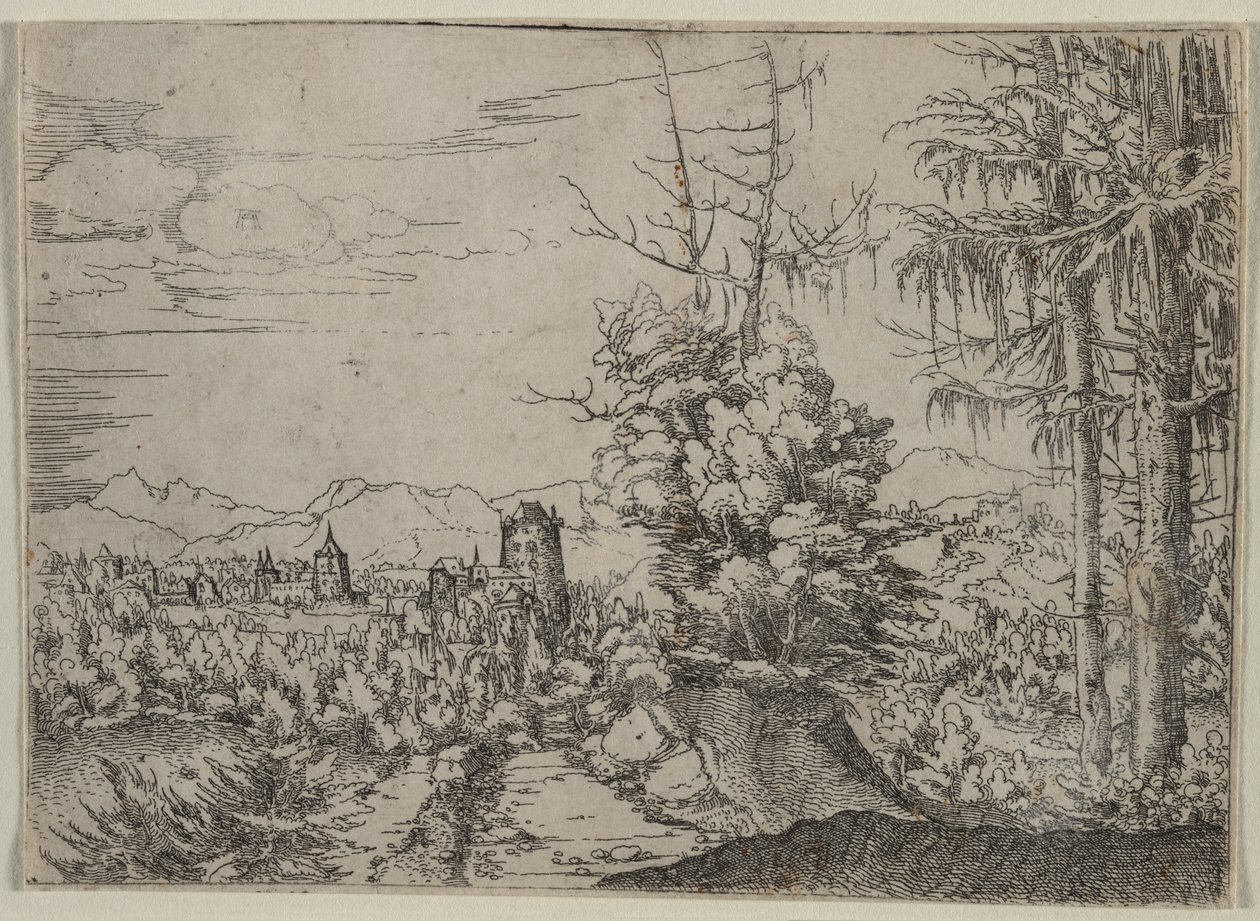 Paisagem com dois pinheiros de Albrecht Altdorfer