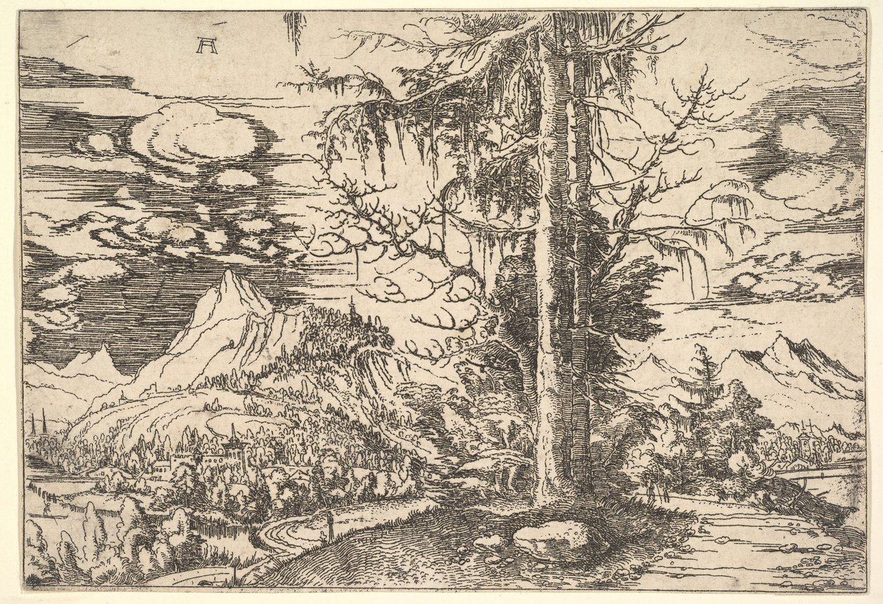 Paisagem com abeto vermelho duplo, ca. 1521-22. de Albrecht Altdorfer