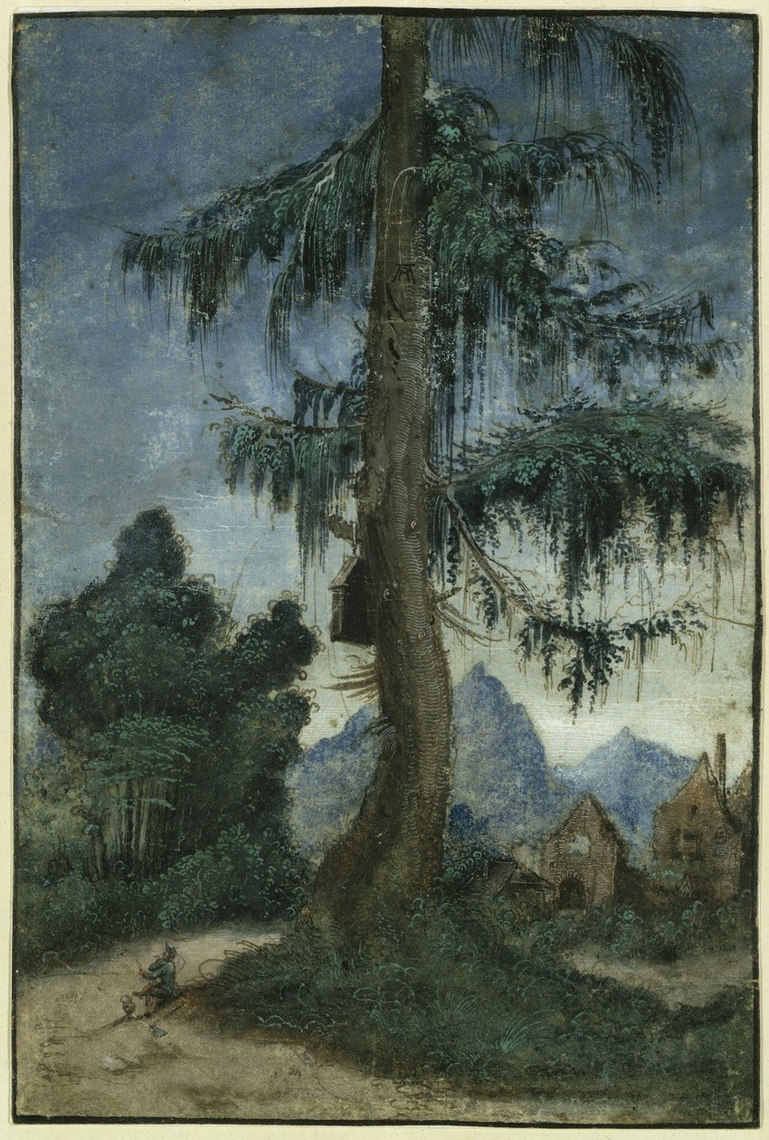 Paisagem com abetos de Albrecht Altdorfer