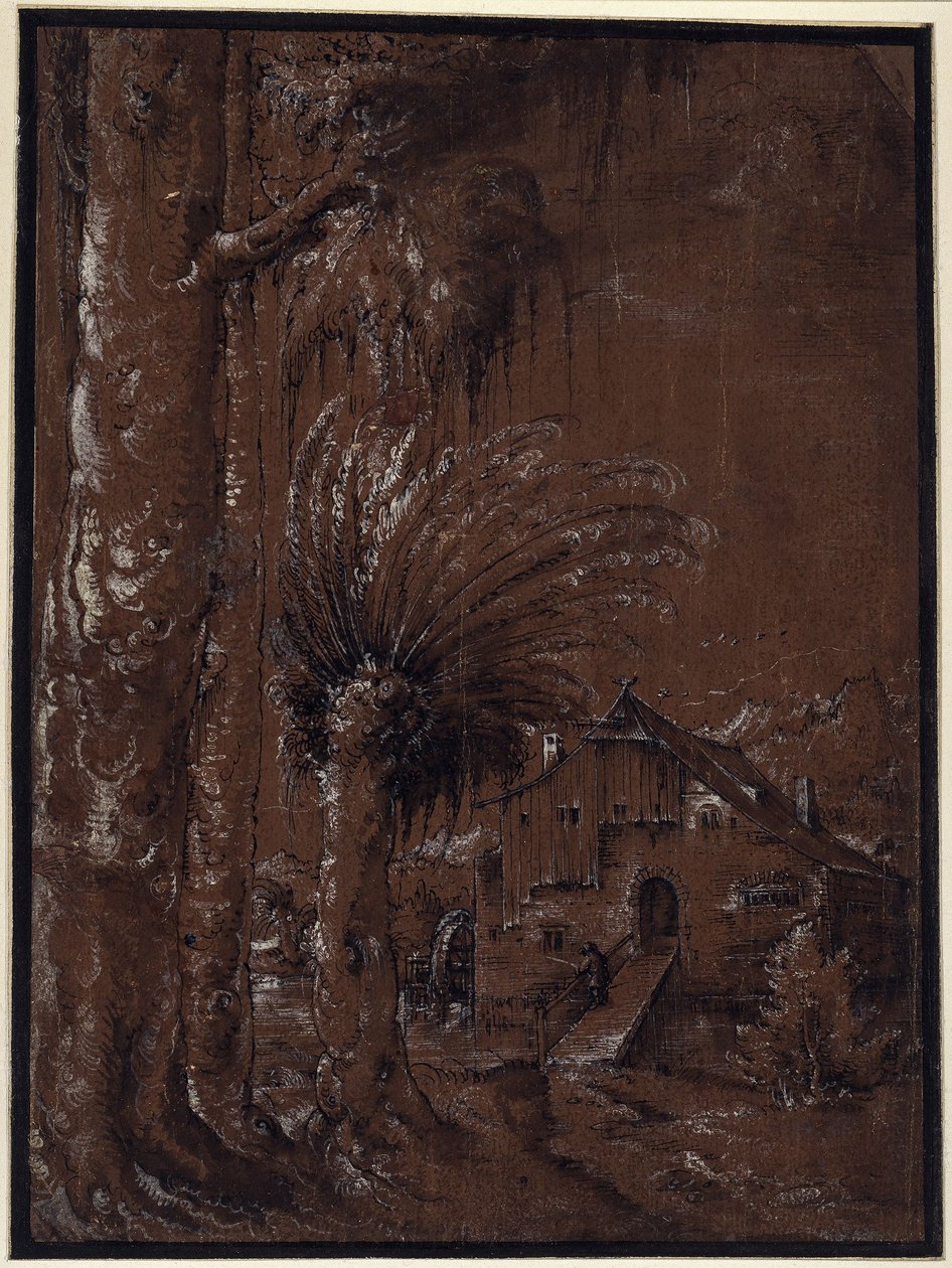 Paisagem com moinho de água de Albrecht Altdorfer