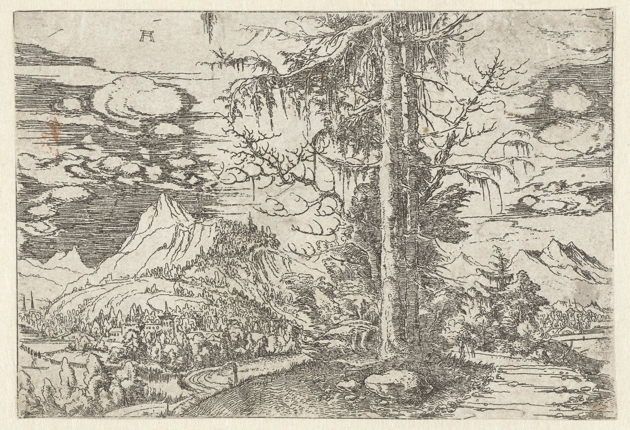 Paisagem com abeto duplo de Albrecht Altdorfer