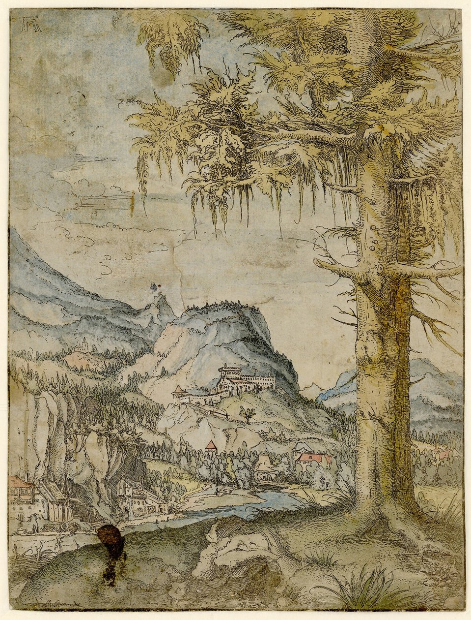 Abeto grande, ca 1517-1520. de Albrecht Altdorfer