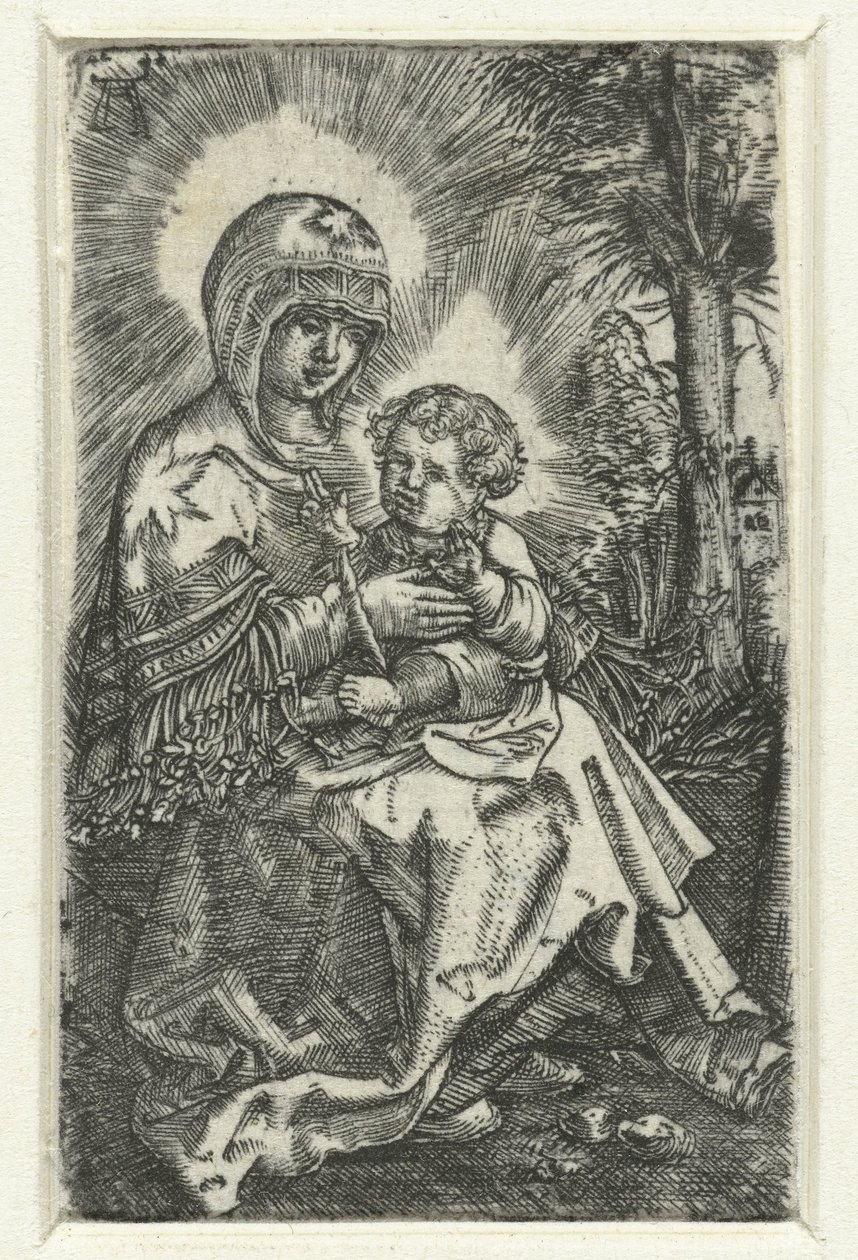Maria conheceu o tipo em landschap
Bela Maria de Regensburg de Albrecht Altdorfer