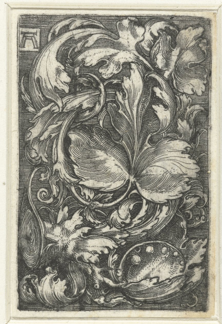 Ornamento com videiras folhosas de Albrecht Altdorfer