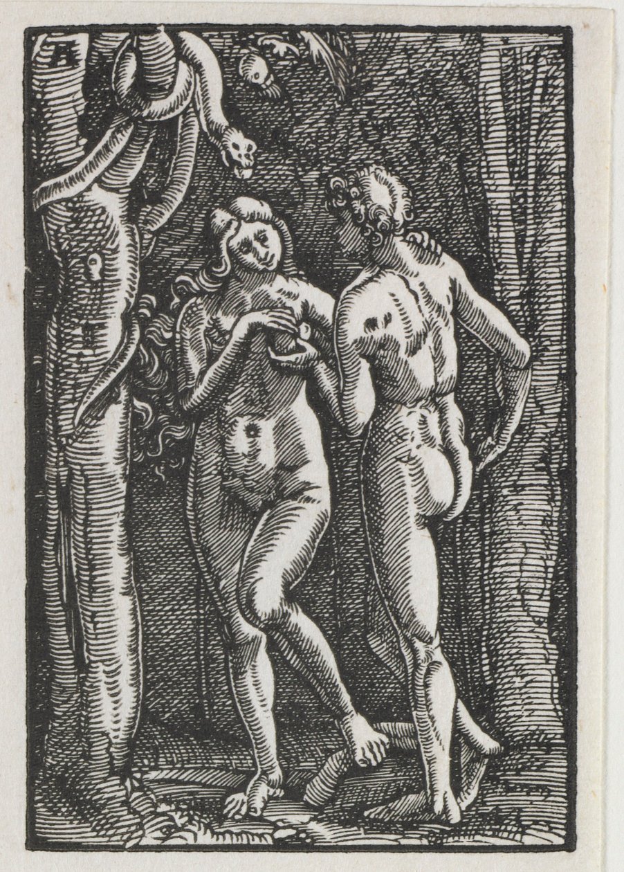 A queda e redenção do homem: Adão e Eva comendo o fruto proibido, c. 1513 de Albrecht Altdorfer