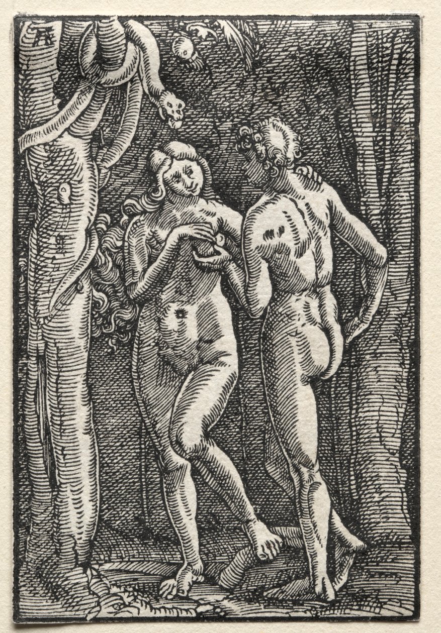 A queda e redenção do homem: Adão e Eva comendo o fruto proibido, c. 1515 de Albrecht Altdorfer