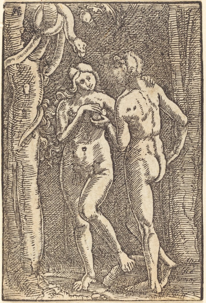 A queda do homem de Albrecht Altdorfer